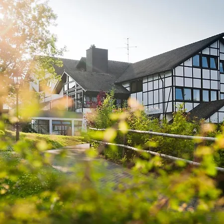 Ferienhaus Ahorn 16 - #127719 * Daun